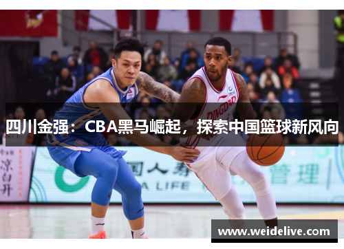 四川金强：CBA黑马崛起，探索中国篮球新风向