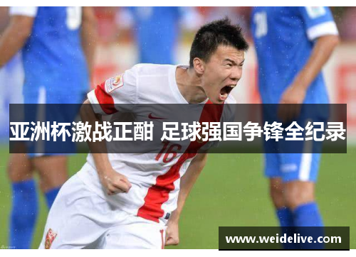 亚洲杯激战正酣 足球强国争锋全纪录